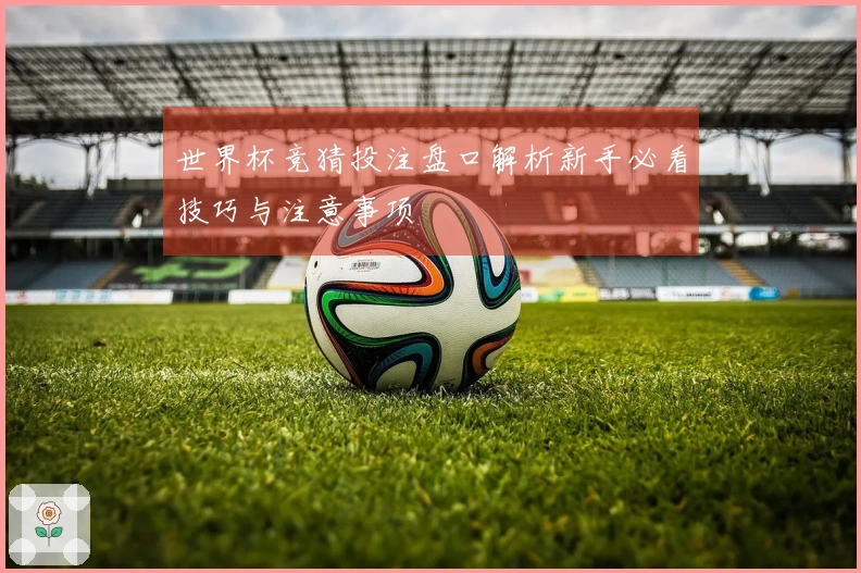 世界杯竞猜投注盘口解析新手必看技巧与注意事项