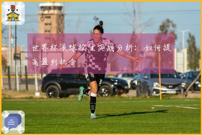 世界杯滚球投注实战分析：如何提高盈利机会