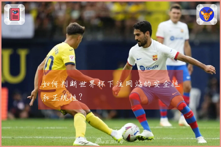 如何判断世界杯下注网站的安全性和正规性？